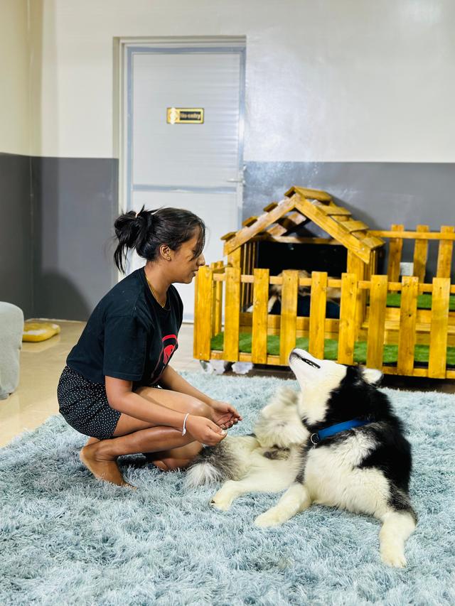 Paws to Heart - Pet bordeing and Daycare - Dubai