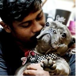 Paws to Heart - Sage - Sage